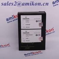 EMERSON WESTINGHOUSE 1C31116G04  | DCS Distributors | sales2@amikon.cn 